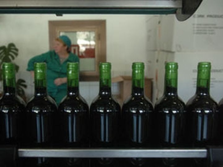 АМКУ оштрафовал ялтинских виноделов на 300 тыс. грн