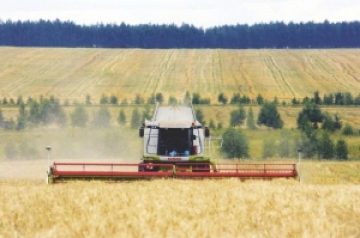 Из-за засухи земледельцы могут собрать менее 40 млн. тонн зерна