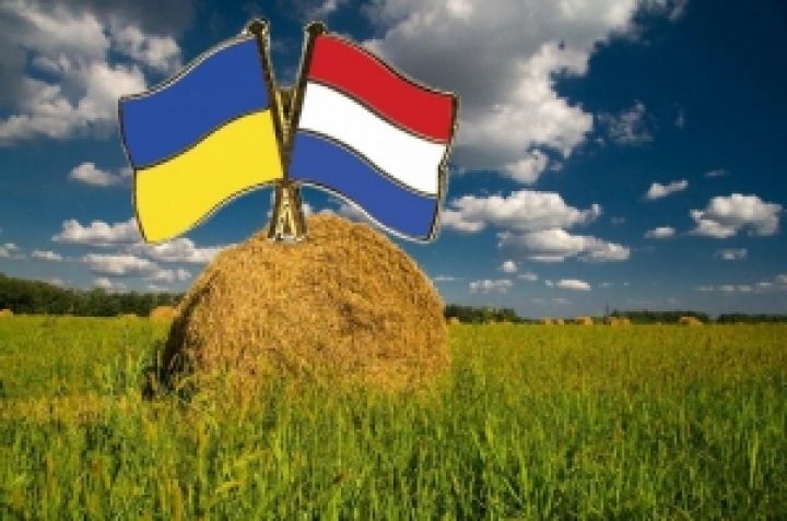 Нидерланды будут инвестировать в АПК Украины