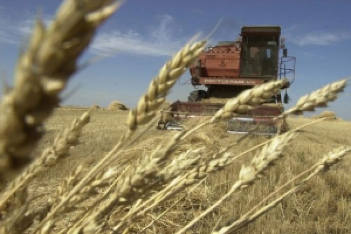 Украинских фермеров просят не продавать зерно за бесценок