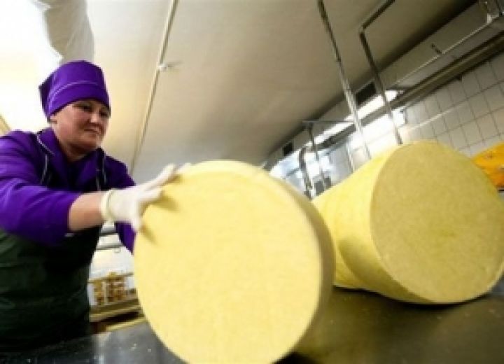 Украина наращивает экспорт сыра