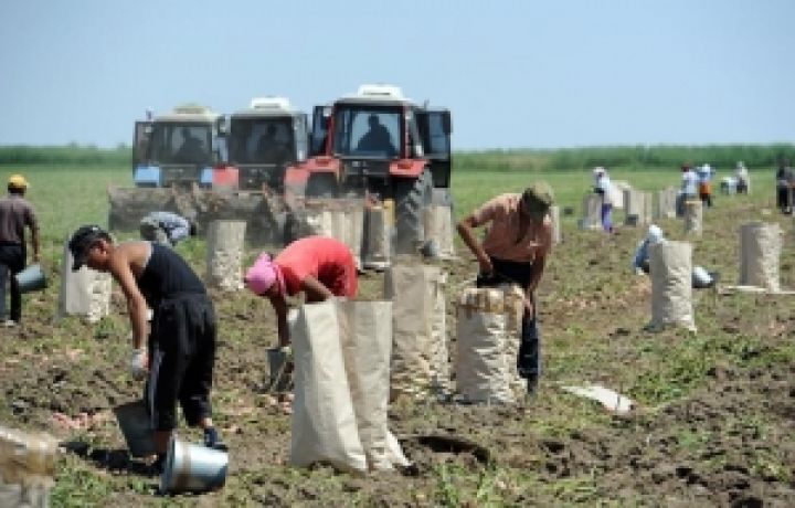 Украинские сельхозпроизводители теряют свои позиции