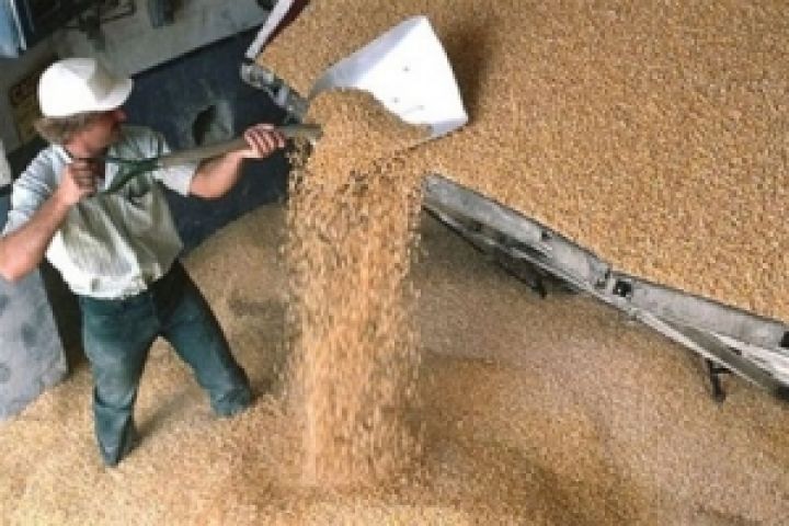 Резерв Аграрного фонда составляет 2 млн. тонн зерна 