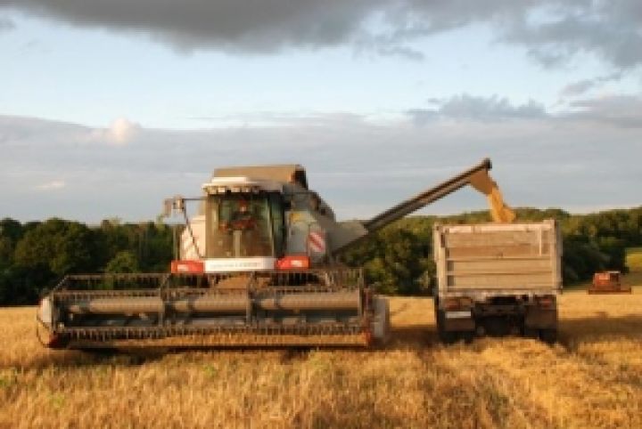 Николаевская область намолотила 500 тыс.тонн зерна 