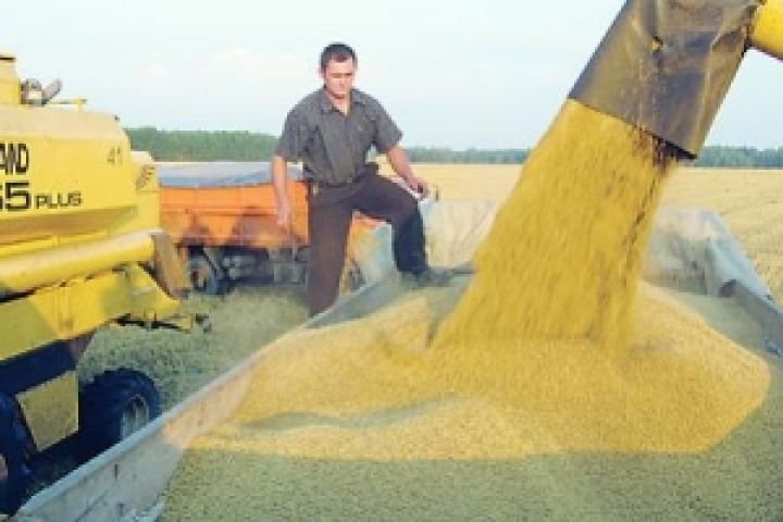 Аграрии Украины намолотили уже 10 млн. тонн зерна