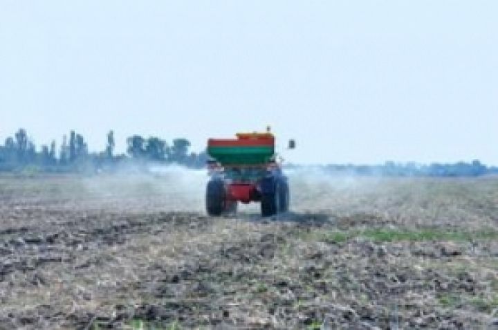 Погода и экономия на средствах защиты растений убивают украинский урожай