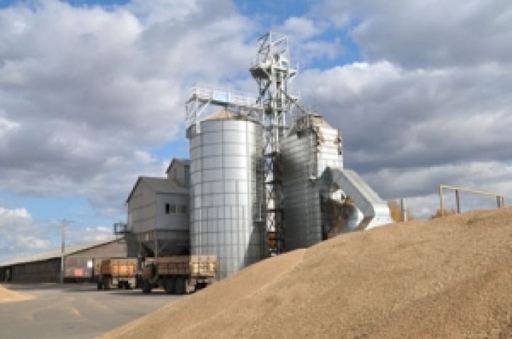 В Крыму намолотили почти 700 тыс. тонн зерна 