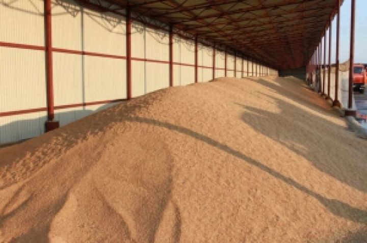 Бизнесмен с Черкасской области приобрел невидимое зерно на 12,6 млн. грн