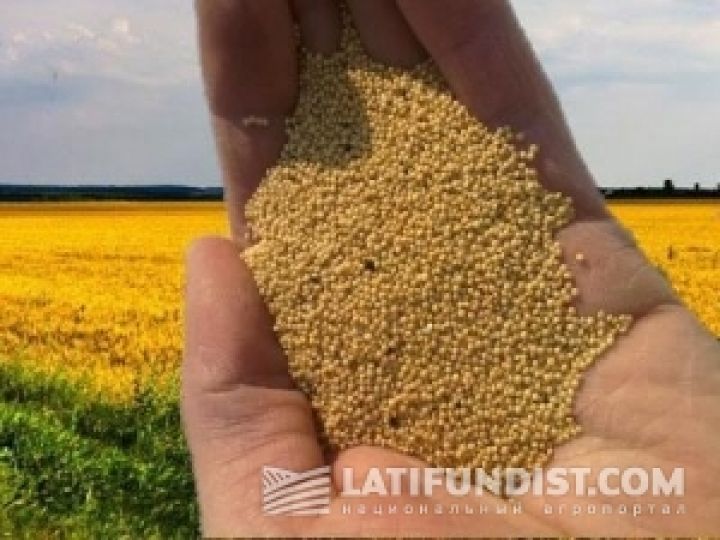 Импорт семян в Украину будет продолжать падать