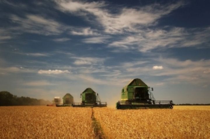 Украинские агрохозяйства обеспечены дизтопливом на уборочную на 70%