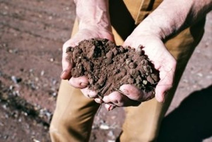 Почва Украины ежегодно теряет в среднем 500-700 кг. гумуса на гектаре 