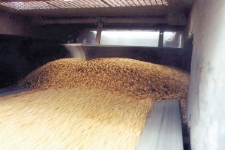 Аграрный фонд Украины планирует переработать на муку почти 390 тыс. тонн зерна