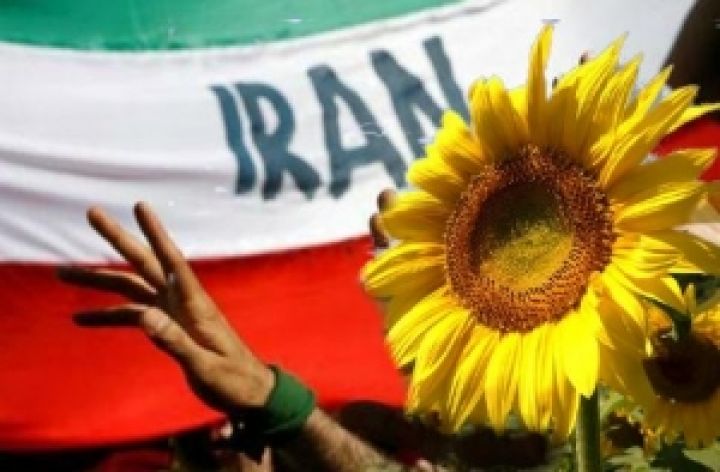 Иран стал крупнейшим импортером украинского подсолнечного масла