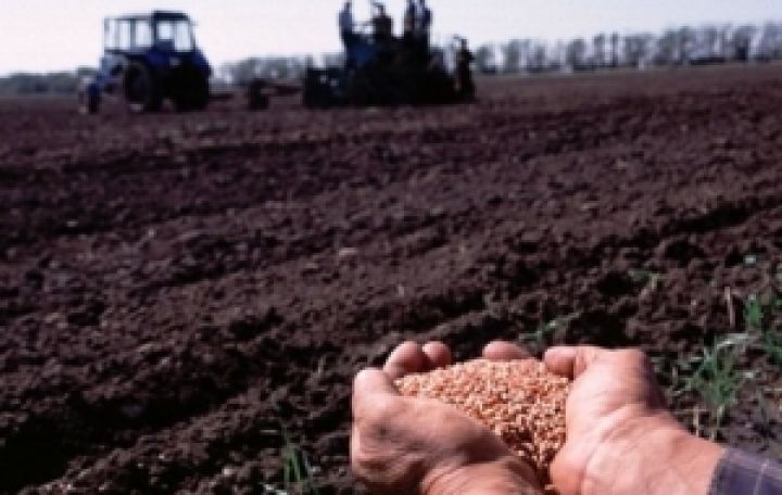 В Украине погибла четверть урожая озимых