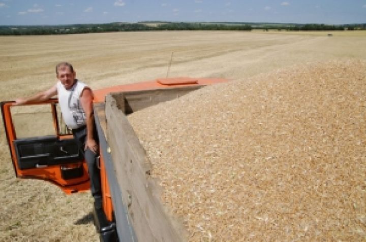 Беларусь не планирует поставлять зерно на экспорт 
