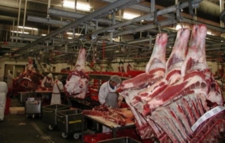 В Украине половина продуктов животноводства — некачественна