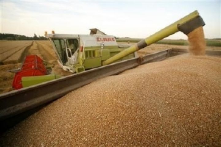 Украина с начала маркетингового года экспортировала 762 тыс. тонн зерна
