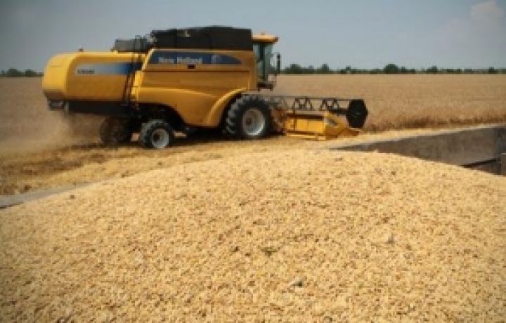 Развитие зерновой инфраструктуры становится приоритетом для Украины 