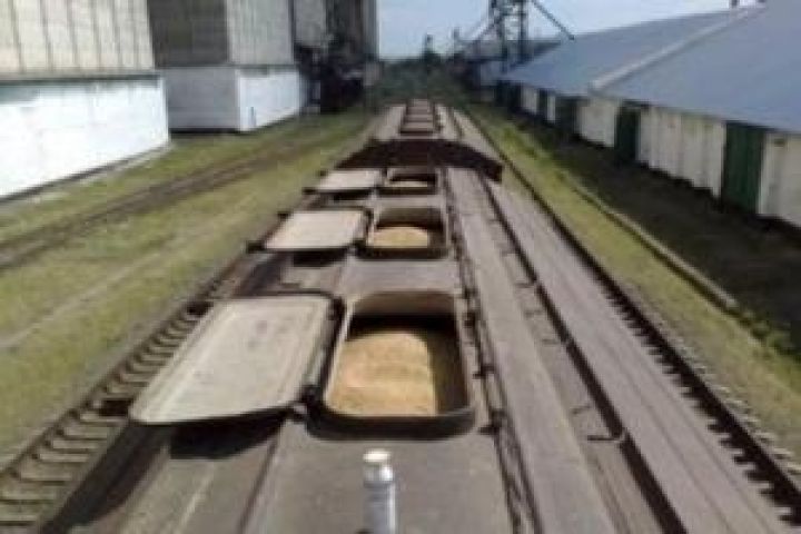 Запад начал спекулировать на тему ограничения Россией экспорта зерна