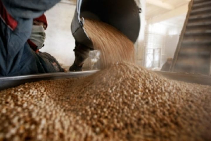 Симферопольский комбинат хлебопродуктов стал оператором закупки и переработки зерна в Крыму