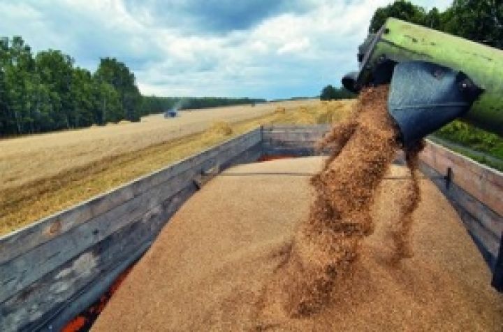 Государство должно стать монополистом экспорта зерна 