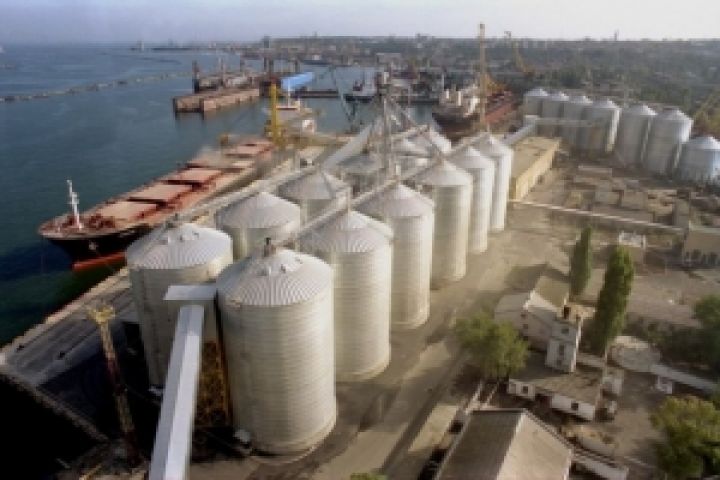 Одесский порт уже принимает зерно нового урожая