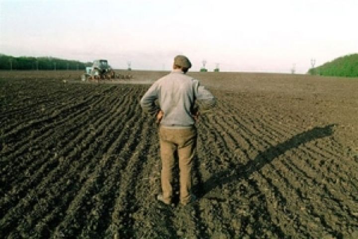 Правительство Молдавии не пойдет на уступки бастующим фермерам 