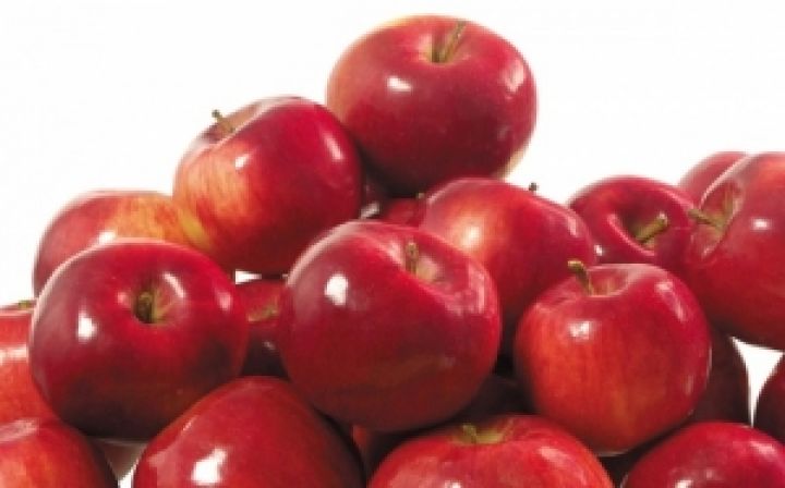 Что делать Украине с рекордным урожаем яблок?