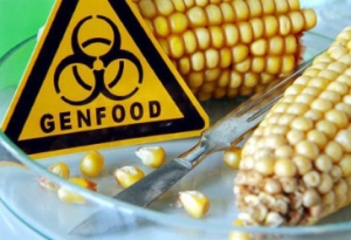 Украине предлагают заработать $525 млн. на ГМО