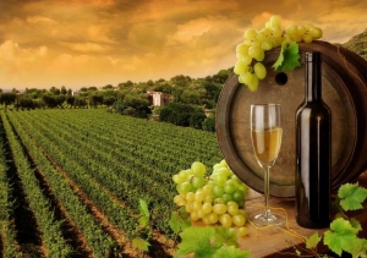 Украина хочет устроить на аграрном рынке «винный бум»