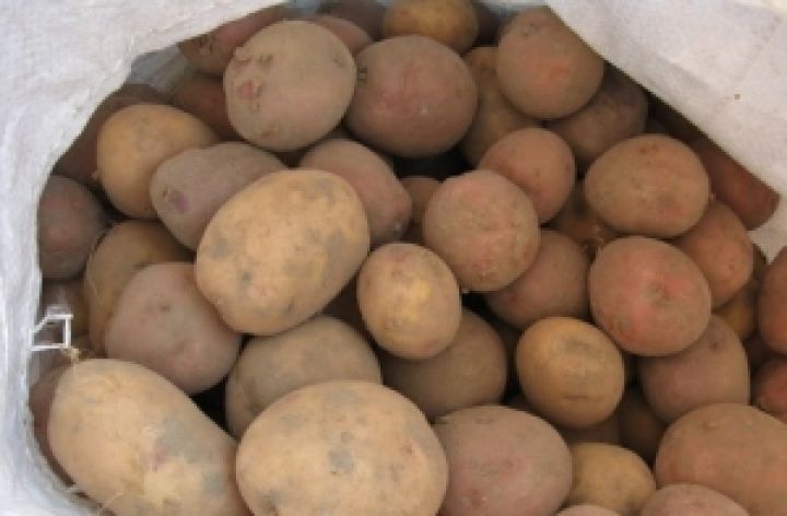 Урожай картофеля в Украине составит 23 млн. тонн   