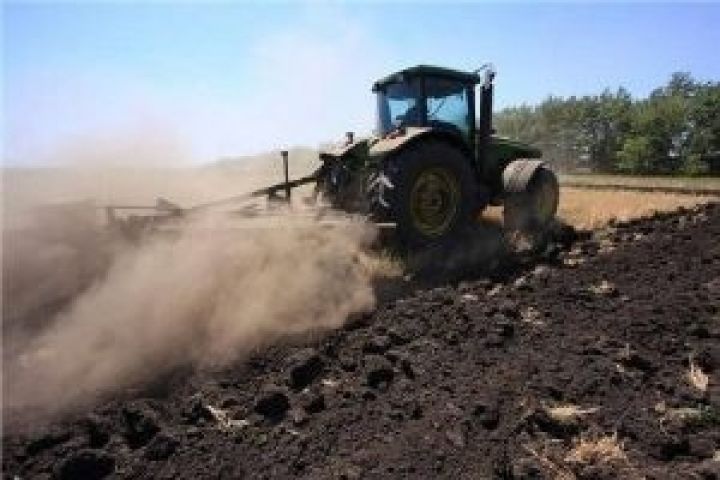  Херсонские аграрии планируют расширить площадь озимых культур под урожай 2013 года