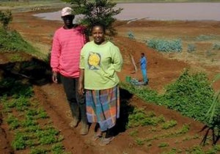 Засуха заставит Запад обратить внимание на аграрный потенциал Африки
