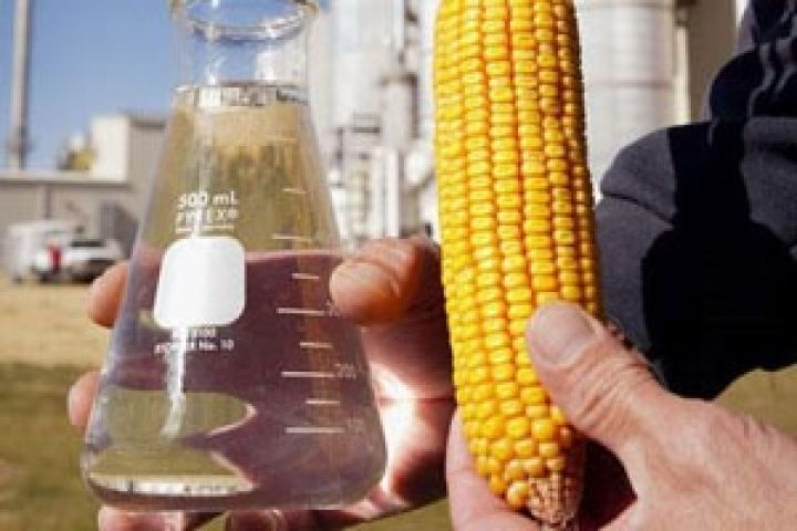 Биотопливо угрожает мировой продовольственной безопасности