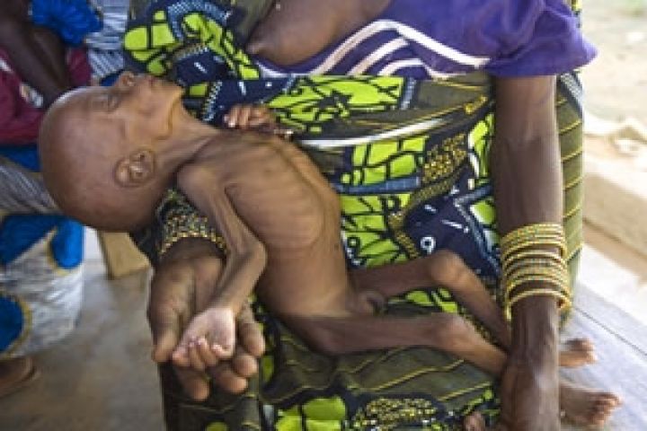 ООН призвала предупредить угрозу голода в мире
