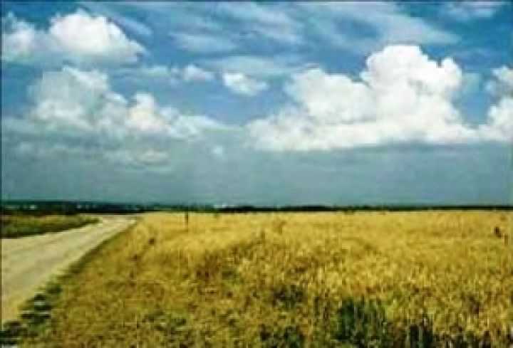 Госсельхозинспекция обнаружила 4 тыс. нарушений земельного законодательства