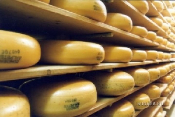 Украина в июне увеличила экспорт сыров почти на треть