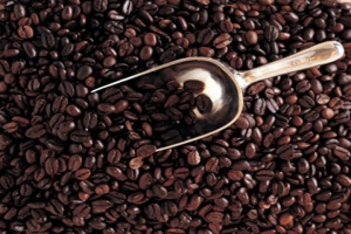 Вьетнам стал самым крупным экспортером кофе в мире