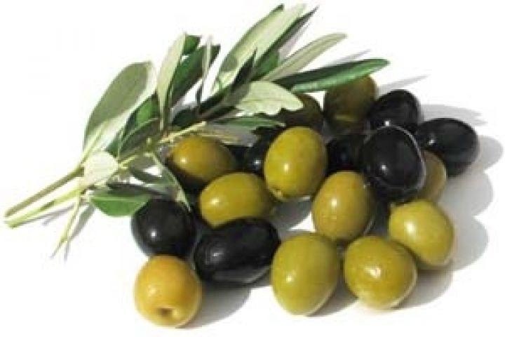 Греция. В 2012 году ожидается рекордный урожай оливок