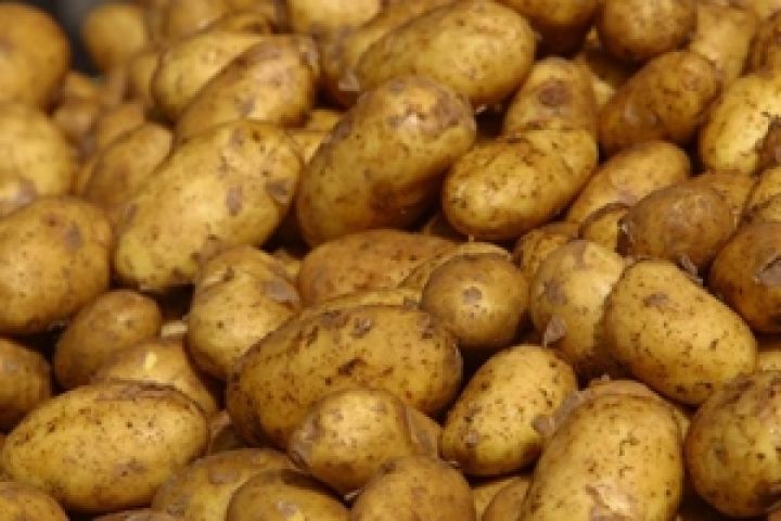 Россия стала мировым лидером в импорте картофеля