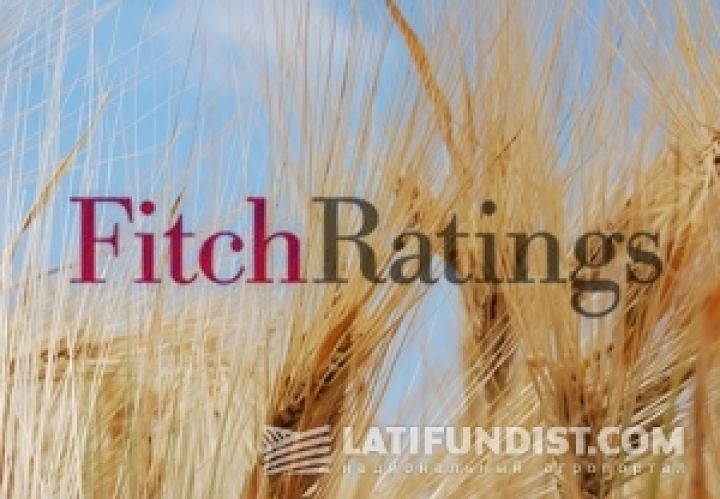 Fitch назвал тех, кто выиграет от высоких цен на зерно