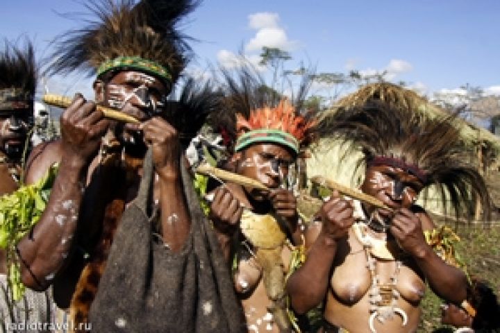Папуа-Новая Гвинея ежегодно теряет 50% урожая