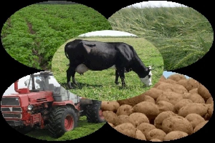 Спад аграрной отрасли в Украине составил 4,2% — Госкомстат