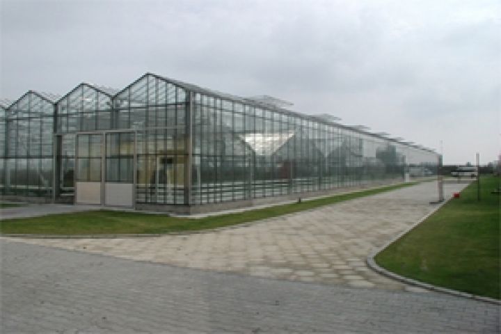 В Казахстане строят 13 тепличных комплексов по выращиванию огурцов и помидоров