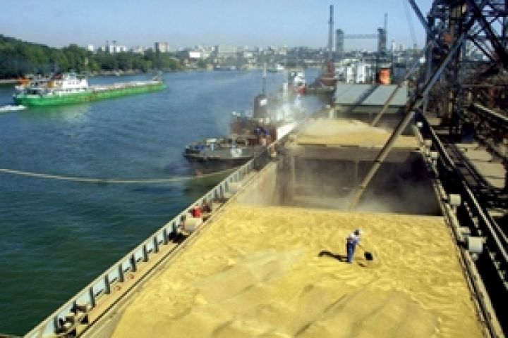 Украина в 2012/13 МГ экспортирует зерна на 8,4% меньше — чиновники