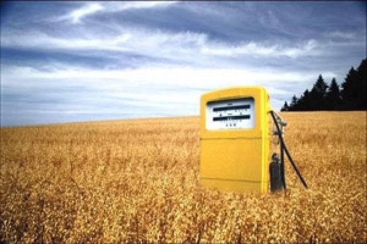 Россия. Агрохолдинг «Юг Руси» вложит $200 млн в производство биотоплива