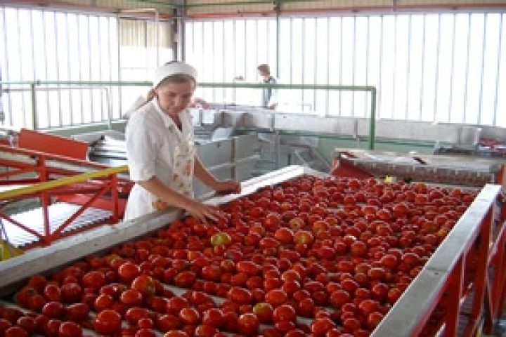 Приднестровье будет перерабатывать овощи для России и Израиля