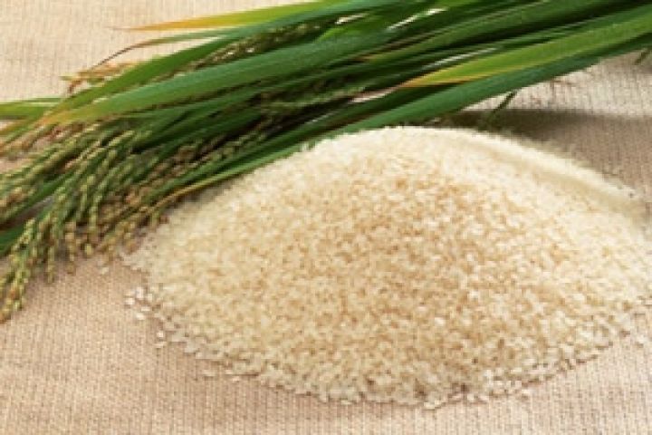 Китай. Урожайность супергибридного риса может достичь 15 т/га