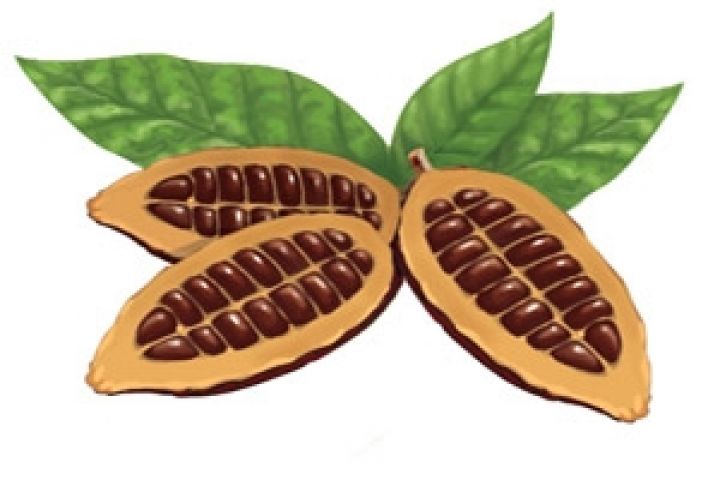  Какао дорожает на мировых рынках	
