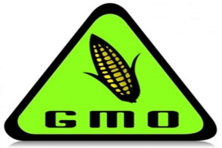 ЮАР —  мировой лидер в использовании ГМО